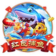 【红军球迷满意吗】利物浦新援埃基蒂克表现集锦⭐